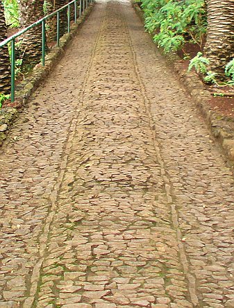 Foto: Treppe