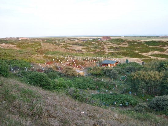Auf Langeoog