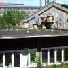 Bienendach