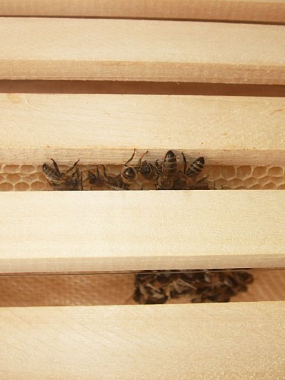 Bauteam in Kasten 2