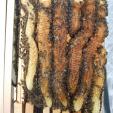 Bienenprojekt