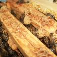 Bienenprojekt