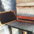 Bienenprojekt