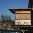 Bienenprojekt