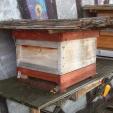 Bee project