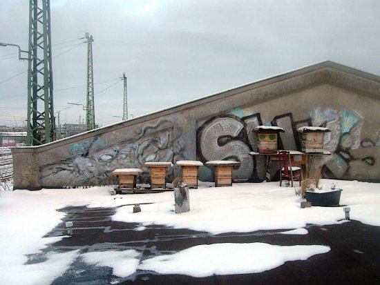 Winter 2020/2021