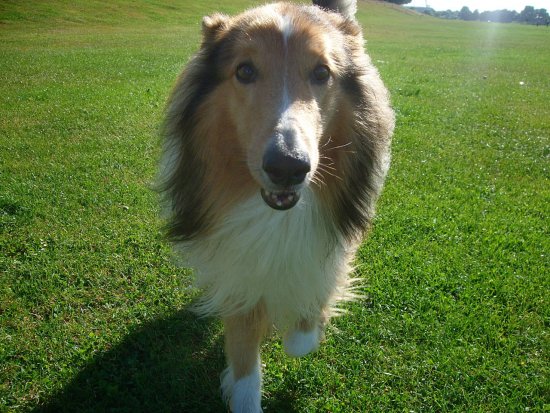 Murphy, 9 Jahre