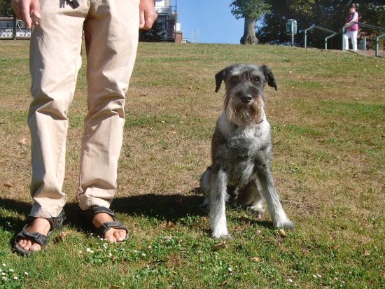 Oskar, 8 Jahre