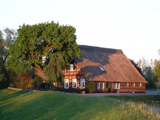 Bauernhaus am Wümmedeich