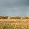 Naturlandschaft Blockland