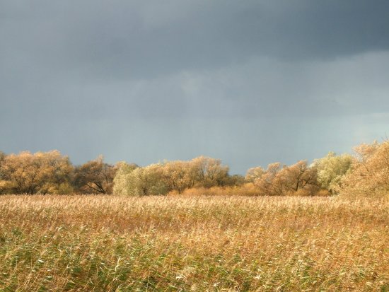 Naturlandschaft Blockland