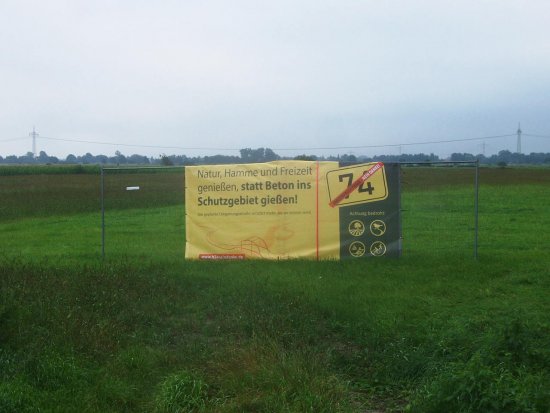 Hammewiesen
