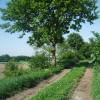 Feldweg am Geestrand