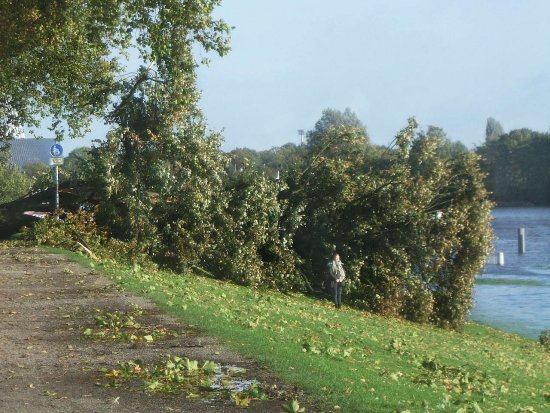 Erinnerungsfoto