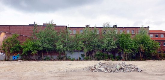 bloßgestellt