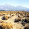 Biotope