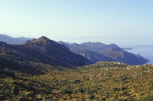Karst-Weideland
